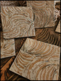 Earthy Shell Coasters (4)