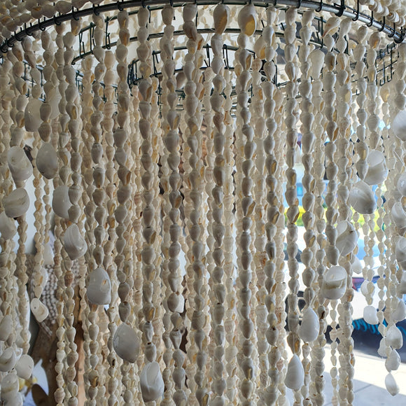 Shell Chandelier