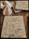 Earthy Shell Coasters (4)